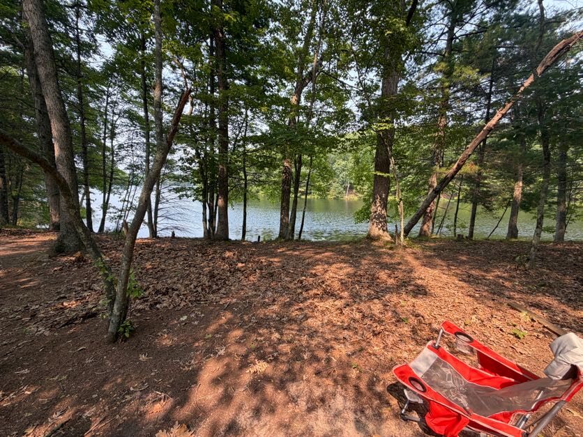 Lakeside Scout campsite surrounded by tall trees
